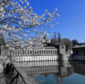 ITALIANI ALL’OPERA: IL CANALE CAVOUR COMPIE 160 ANNI