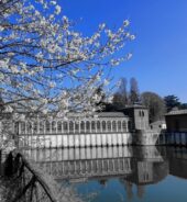 ITALIANI ALL’OPERA: IL CANALE CAVOUR COMPIE 160 ANNI